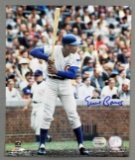 Chicago Cubs Signed Ernie Banks photograph