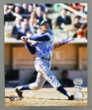 Chicago Cubs Signed Billy Williams photograph