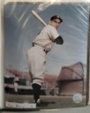 Binder of MLB New York Yankees photographs