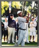 Signed Tiger Woods Photograph