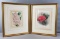 Set of 2 : Framed Antique Floral Hand Colored Lithographs