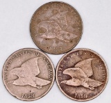 Group of (3) Flying Eagle Cents