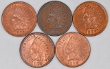 Group of (5) Indian Head Cents