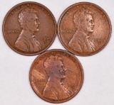 Group of (3) 1909 S Lincoln Wheat Cents