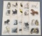 Group of antique animal prints/etchings