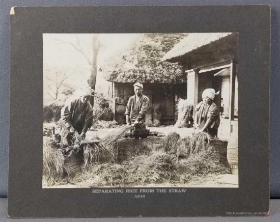 Vintage sepia photograph separating rice from straw Japan