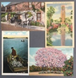 Postcards-Box Lot-Florida