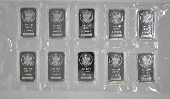 Group of (10) Sunshine Minting 1oz. .999 Fine Silver Ingot / Bars