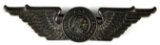 Rare WW2 CAA War Training Instructor Wings
