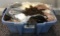 Plastic tote of assorted doll wigs