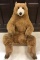 1983 Avanti Wallace Berrie & Co Large Stuffed Bear