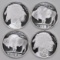 Group of (4) Indian / Buffalo Design 1oz. .999 Fine Silver Rounds.