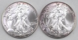 Group of (2) 2002 American Silver Eagle 1oz
