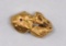 Alaska Placer Gold Nugget 2.6 Grams