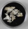 Crystalline Silver Nugget 5.0 Grams
