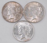 Group of (3) Peace Silver Dollars