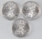 Group of (3) 2015 American Silver Eagle 1oz.