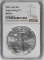 2021 American Silver Eagle 1oz Type 2 (NGC) MS70 Eagle Landing