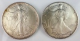 Group of (2) American Silver Eagles 1oz. 1992 & 1993