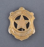 Gold shield Badge with 5-point star center.  