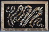 A framed collection of 205 Arrowheads in the Rattle Snake pattern, framed in wooden water stock barr