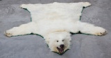 White Polar Bear Rug, with correct papers.  From nose to tail 7ft 9