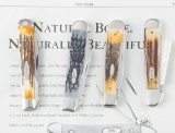 Collection of four Case Folding Pocket Knives in like new condition to include:  Two Cheetah, and on