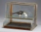 High quality antique Salesman Sample, wood & German silver, curved glass Showcase, circa 1890. This