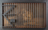 Unique vintage framed Saloon Lion in Cage, in wooden cage and frame, 28 1/2