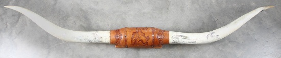 Massive set of scrimshaw carved Steer horns, mounted on wooden wall board with hand tooled leather w