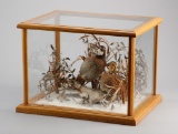 Taxidermy Showcase of two Quail mounted in snow and foliage, 13 1/2