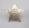 Deputy Sheriff, Teller Co., Badge, 5-point ball star, 2 5/8