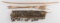 Leather and hair on hide Quiver, possibly bear skin.  Quiver contains Bow and steel tipped Arrows &