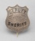 Deputy Sheriff Badge, shield, 1 1/4