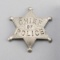 Chief of Police Badge, 6-point ball star, 2 1/2