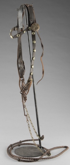 Early spotted Bridle with iron bit and leather braided reins.