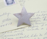P.P. Badge, 5-point star, 1 5/8
