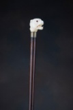 Antique Cane with wooden shaft, carved ivory bull dog head handle which appears to have ruby eyes.