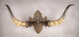 A true Victorian cast iron and steer horn Wall Hanger, circa 1890s.  The cast iron frame work is emb