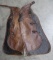 Pair of two tone brown, silver spotted, Bat Wing Chaps, circa 1930s-40s,leather spotted conchos with