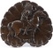 Unusual antique oak carved Wall Plaque of Indian Chief on Horse back with rifle, circa 1900-1910, ve
