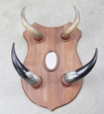 Steer horn Wall Hat Rack.  Horns are mounted on a shield shaped board with beveled mirror center, bo