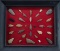 Framed collection of Arrowheads and Points, totaling 31 artifacts. WILL BE