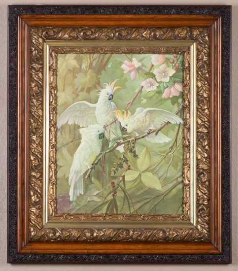 Beautiful antique oak and gilded Frame, circa 1900-1910 with cockatoo print, measures 27 1/4" wide x