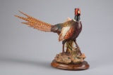 Magnificent hand carved wooden Pheasant marked 
