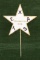 Beautiful 5-point Star Badge marked â€œTEXAS RECOGNITION / 1916â€ gold tone edging with white ename