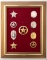 Framed Group of Nine (9) Badges of 