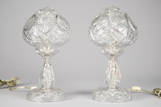 THIS LOT WILL BE SOLD TWO TIMES THE BID, MEANING YOUR FINAL BID WILL BE MULTIPLIED TWO TIMES. Beauti