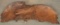 Fantastic hand carved Eagle with wing spread of 58