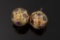 Ladies 14kt yellow gold  omega clip earrings containing semi-precious gemstones weighing 10.6 gr. Re